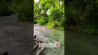 Beautiful River In Dehradun ✌️ #short #shorts #dehradun