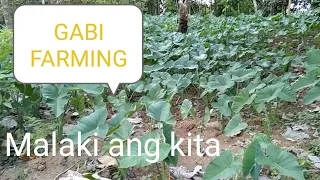 GABI FARMING. vlog #5