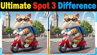 Traveling cat in England | spot the difference | find the difference | [ 4K ]