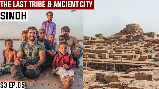 MOHENJO-DARO THE LOST CIVILIZATION OF INDUS VALLEY S03 EP. 05 |Manchar Lake|Pakistan Motorcycle Tour
