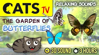 GAME FOR CATS - The Butterflies Garden 🦋 Relaxing Sounds 🐦🎶 [CATS TV] 3 HOURS