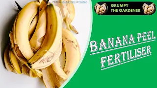 Banana Peel Fertiliser - A step by step guide                        [Version 2]