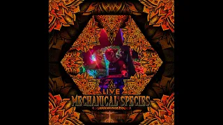 Mechanical Species Live Set Psyland