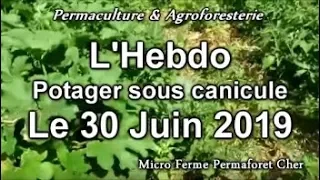 POTAGER EN PERMACULTURE SOUS CANICULE & AGROFORESTERIE DOCUMENTAIRE VISITE 1H