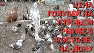 Цена голубей на птичьем рынке в Ростове-на-Дону. Ярмарка голубей в Аксае. Николаевские голуби.Pigeon