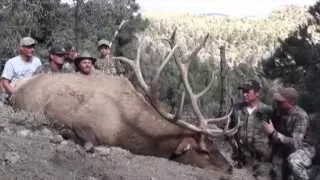 Muzzleloader Elk Hunt in Utah - Stacey Porter - MossBack