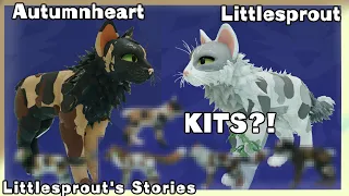 ROBLOX WCUE: Autumnheart X Littlesprout's Hypothetical Kits