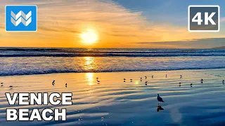 [4K] Sunset at Venice Beach in Los Angeles, California USA Walking Tour 🎧 Relaxing Beach Waves