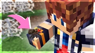 NON.. JE N'AI PAS PEUR DES ARAIGNÉES ! T-T.. - MINECRAFT