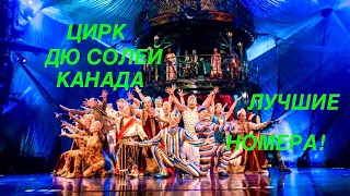 Лучшие номера #цирк #дюсолей #канада #короткоевидео