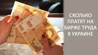 Сколько платят на бирже труда в Украине в 2020 году