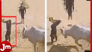 Nobody expected this! Incidents of Animal Attacks on Humans Caught on Camera!!