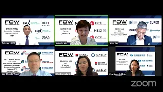 Panel discussion: China access - progress of the two way capital market opening up