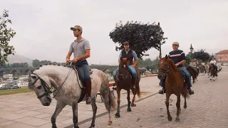 Rota das Romarias a Cavalo em Ponte de Lima