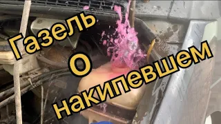 Газель бизнес кипит не включается электромуфта вентилятора охлаждения мотор 4216