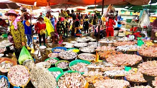 Big fish distributor in Phnom Penh​, Fish Market Scenes and Cambodian People Activities