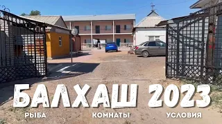 ОТДЫХ в БАЛХАШЕ 2023 обзор зоны отдыха