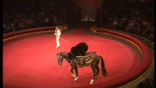 Bears - horse riders