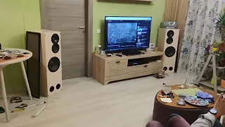 3 way DIY Floorstanding speakers