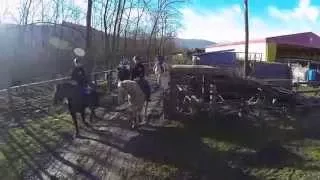 Manada de Caballos - Passeggiate a cavallo Gennaio 2015 (Gopro)