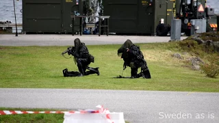 Stridsförevisningen på marinens dag 2017 på Berga