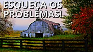 SOM DE FAZENDA AO AMANHECER PARA ACALMAR A MENTE - RELAXAR E DESCANSAR