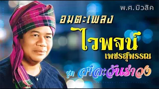 อมตะเพลง ไวพจน์ เพชรสุพรรณ | ชุด สาละวันรำวง | พ.ศ.2551 #สาละวันรำวง #แม่สาวคนโก้ #รักพิลึก