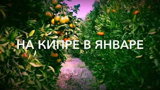 Кипр в январе.