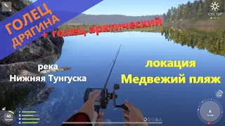 Русская рыбалка 4 - река Нижняя Тунгуска - Голец Дрягина с камня