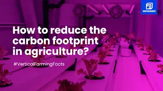 Why is this Innovative Farming System KEY to fight climate change? 💨 [Nº 1]