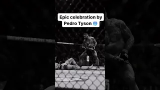 Epic celebration by Pedro Tyson #fight #fighting #fighter #ko #ufc #mma #shorts