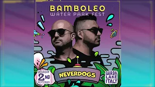 Neverdogs @ Water Park Fest (September 2023)