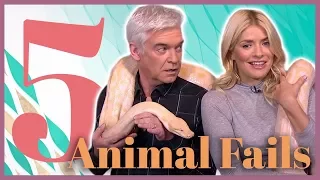 Top 5 Animal Fails on Live TV! | This Morning