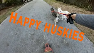 Husky Longboarding - Throwback