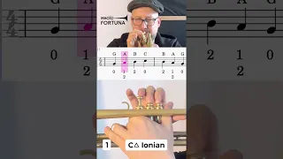 Watch This Pro Trumpet Player Play The C Major Scale flawlessly on beginner level!