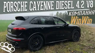 Porsche Cayenne Diesel 4.2 V8 / Компания WinWin