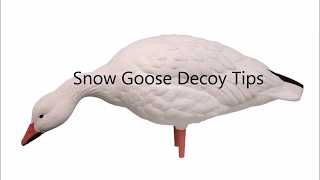 Snow Goose Decoy Tips