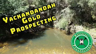 Yackandandah GOLD prospecting !!! - Throwback Thursday