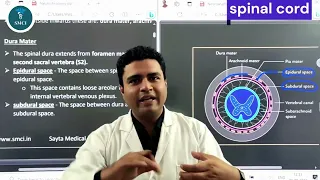 Spinal Cord Coverings and spaces | Introduction | SMCI NeXT