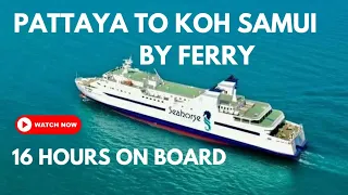 We travelled from Pattaya to Koh Samui on the Seahorse ferry & it was  amazing
