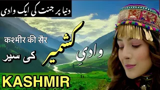 Travel to Kashmir | جموں کشمیر کی سیر| History Facts about Kashmir | Urdu Hindi | BilalTv |