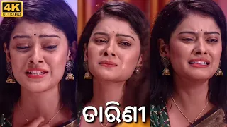 Tarini Akhira Tara Odia Serial Song 4k Full Screen Status💕Tarini💕Tushar💕Tarang💕Odia Edits