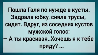 Как Галя По Нужде в Кусты Сходила! Сборник Свежих Анекдотов! Юмор!