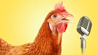 J.Geco - Chicken Song & Chicken Dance | Geco Remix  73