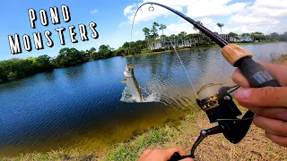 Swimbait Fishing for Pond MONSTERS