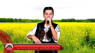 Ana-Maria Bistriceanu.Curge lacrimă din nor.Paula Hriscu  (Cover)
