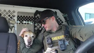 K-9 JAX'S FINAL CALL