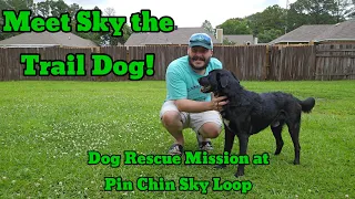 Dog Rescue Mission at the Pin Chin Sky Loop