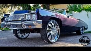 Highline Auto Sports: 1973 Vert Donk on 26" Amani Forged Wheels PREVIEW