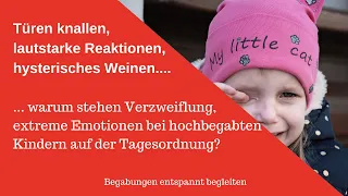 Hochbegabung und Wutausbrüche - Hat Deine Erziehung versagt?